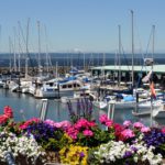 A stunning view with flowers lining the foreground and docked boats moored at the Anthony's HomePort in Des Moines in the background.
