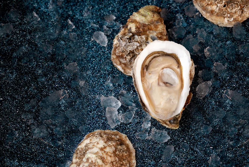 Raw Oysters on the half shell