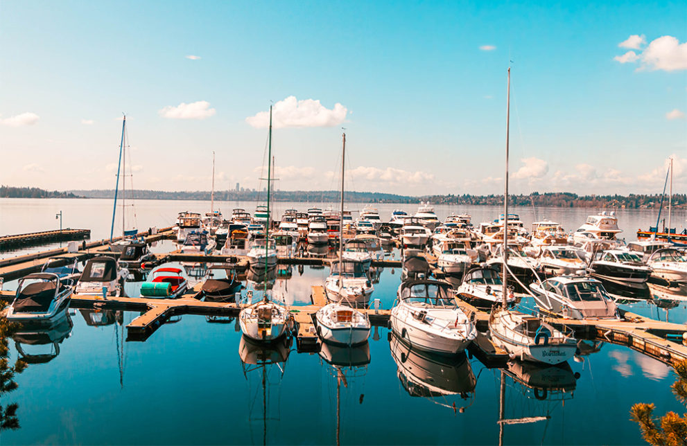 ANTHONY S HOMEPORT KIRKLAND visual data 4