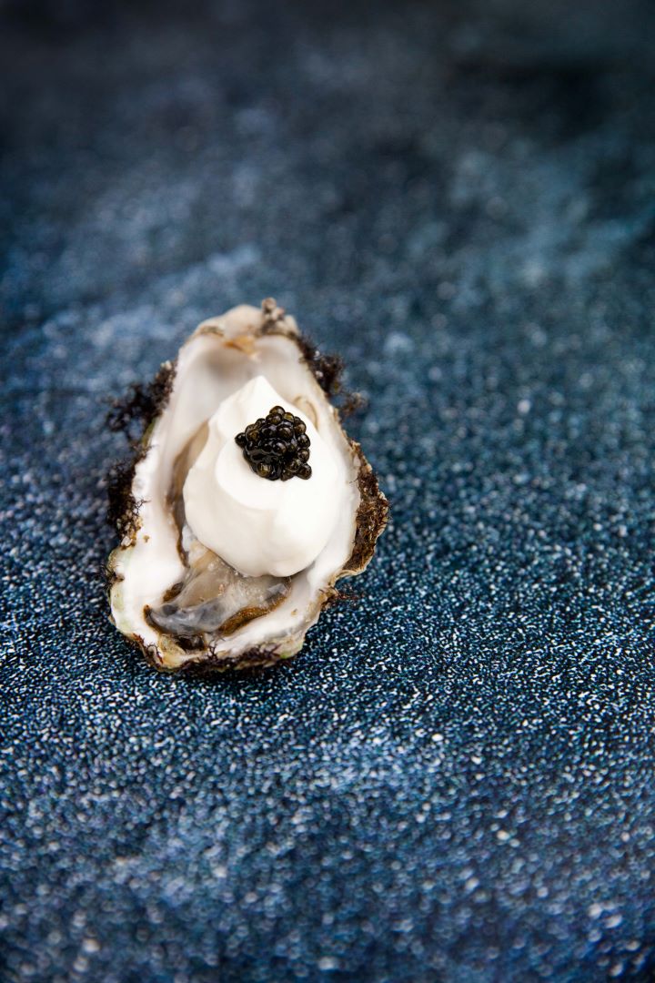 black tie oyster_small